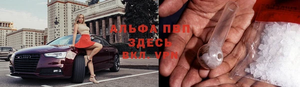 шишки Осташков