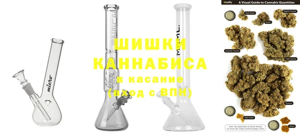 метадон Богданович