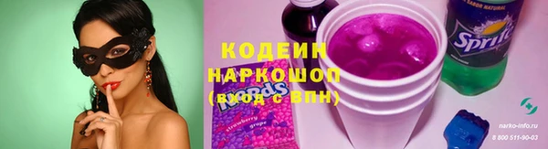 метадон Богданович