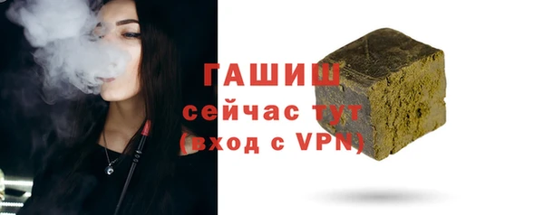 шишки Осташков