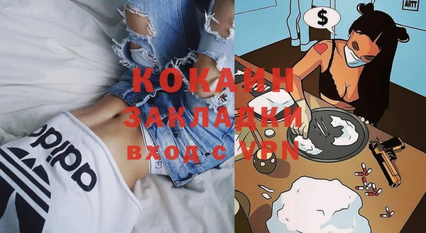 шишки Осташков