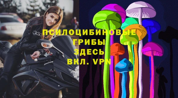 экстази Богородск