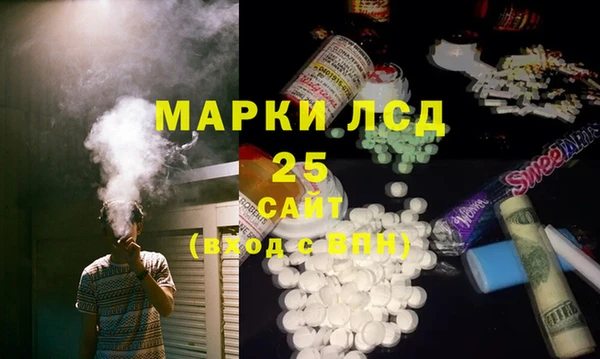 шишки Осташков