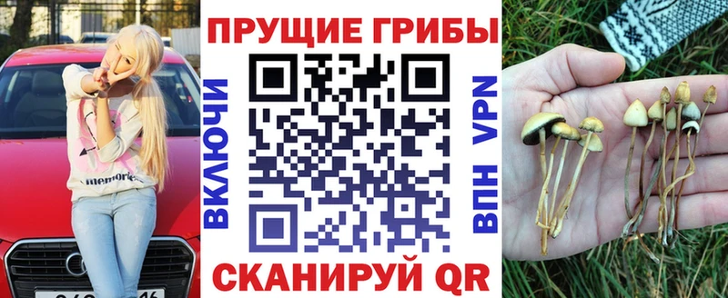 Псилоцибиновые грибы мицелий  Купить закладки  Белореченск 